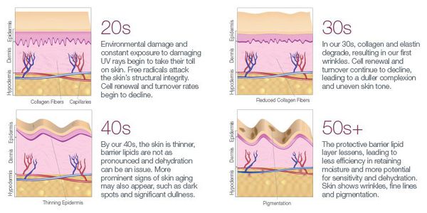 Этапы естественного процесса старения кожи, начиная с 20 лет