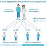 https://dgp1nn.ru/blog/wp-content/uploads/autosomno-dominantnyy-tip-nasledovaniya-s.jpeg