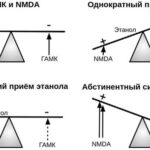https://dgp1nn.ru/blog/wp-content/uploads/balans-gamk-i-nmda-receptorov-s.jpg