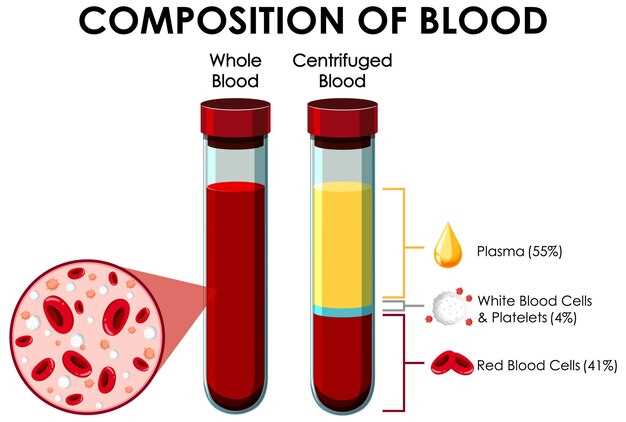 Особенности четвертой группы крови