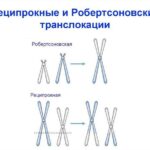 https://dgp1nn.ru/blog/wp-content/uploads/hromosomnye-translokacii-s.jpg