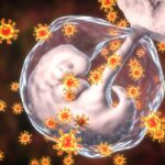 https://dgp1nn.ru/blog/wp-content/uploads/inficirovanie-embriona-s.jpg