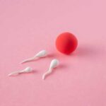 Консистенция спермы: что она означает и как влияет на мужское здоровье