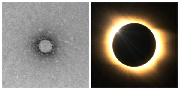 "Корона" вируса (слева) и корона солнца (справа)
