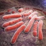 https://dgp1nn.ru/blog/wp-content/uploads/mikobakterii-tuberkulyoza-s.jpg