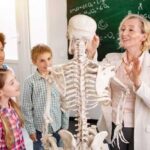 Молодые организмы, множество костей: почему у детей больше костей, чем у взрослых?