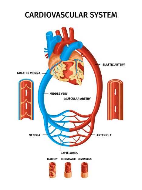 Симптомы синдрома подключичной артерии