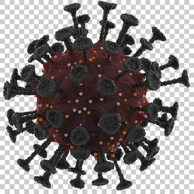 Влияние вирусов на иммунную систему человека